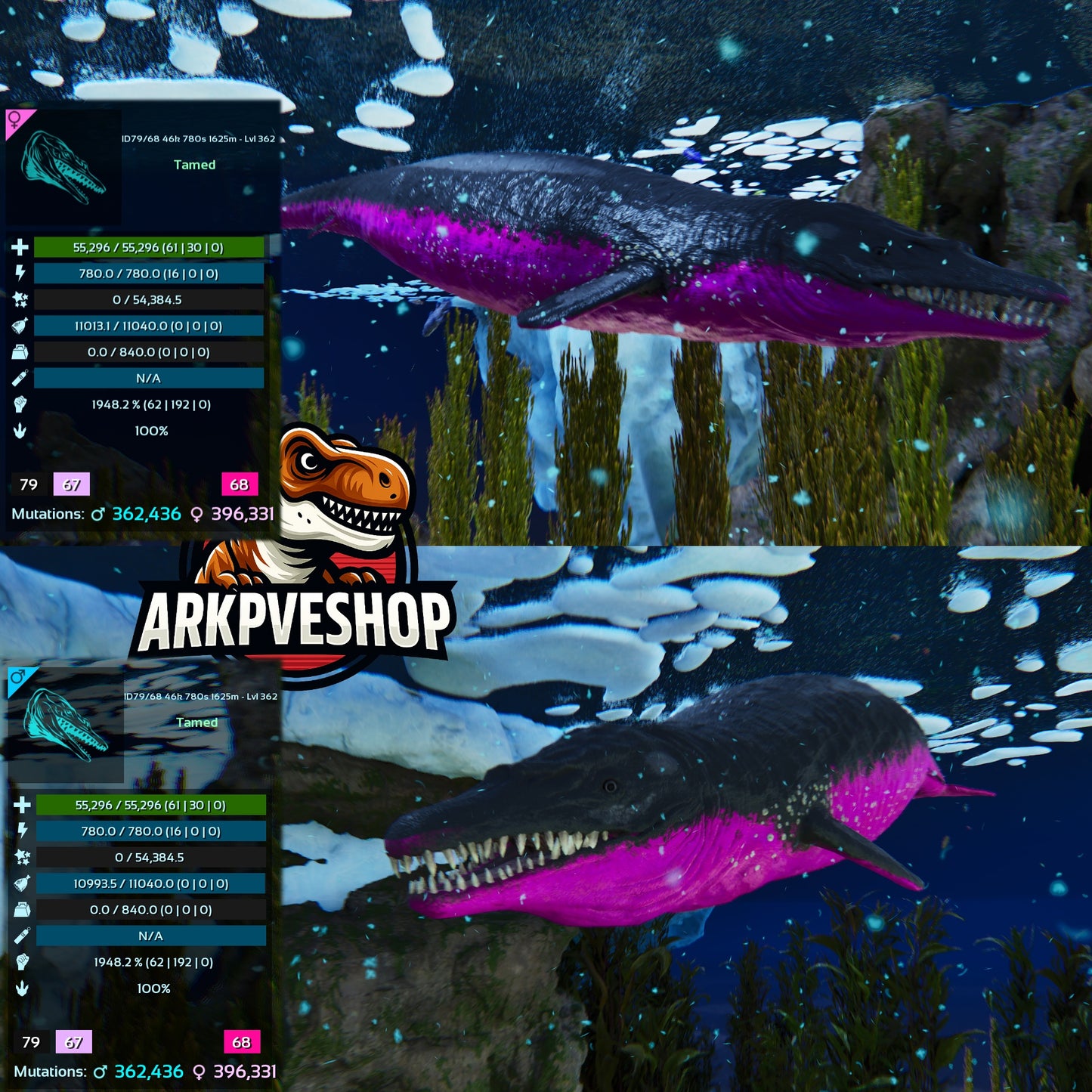 Basilosaurus 1948.2% melee