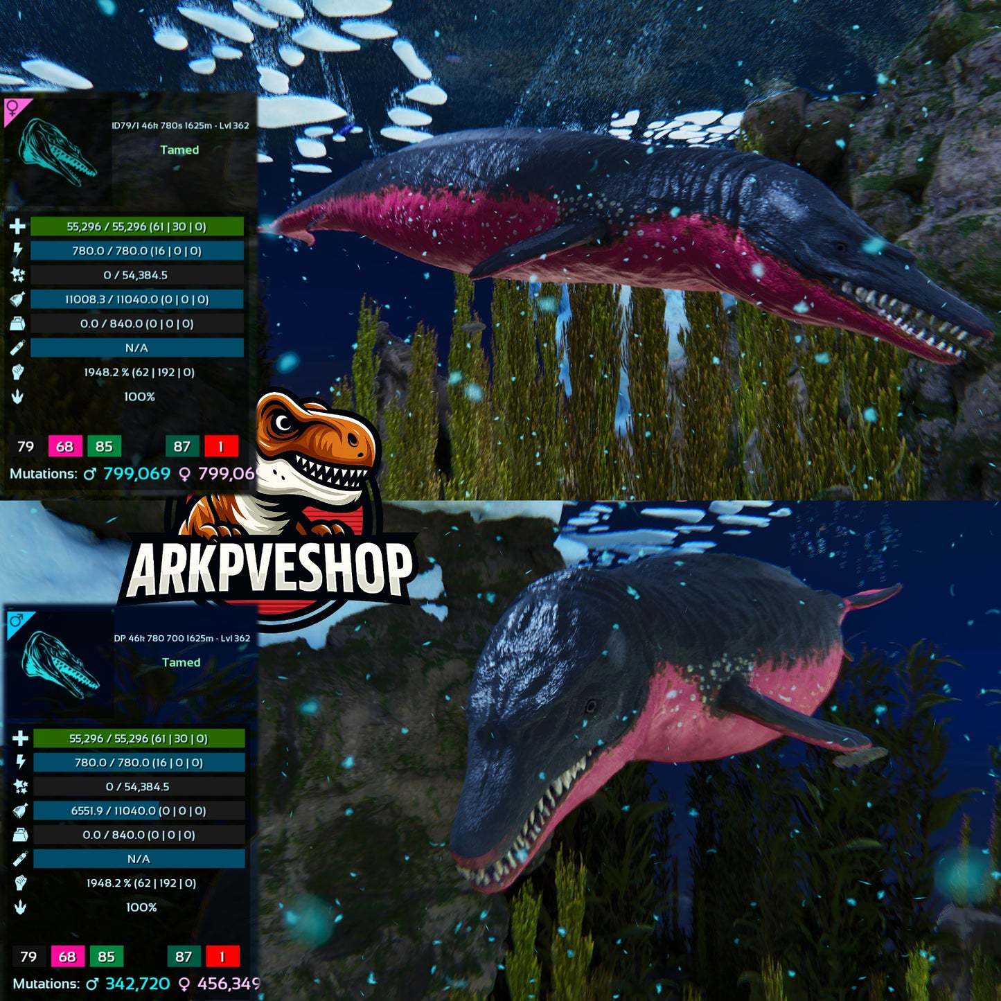 Basilosaurus 1948.2% melee