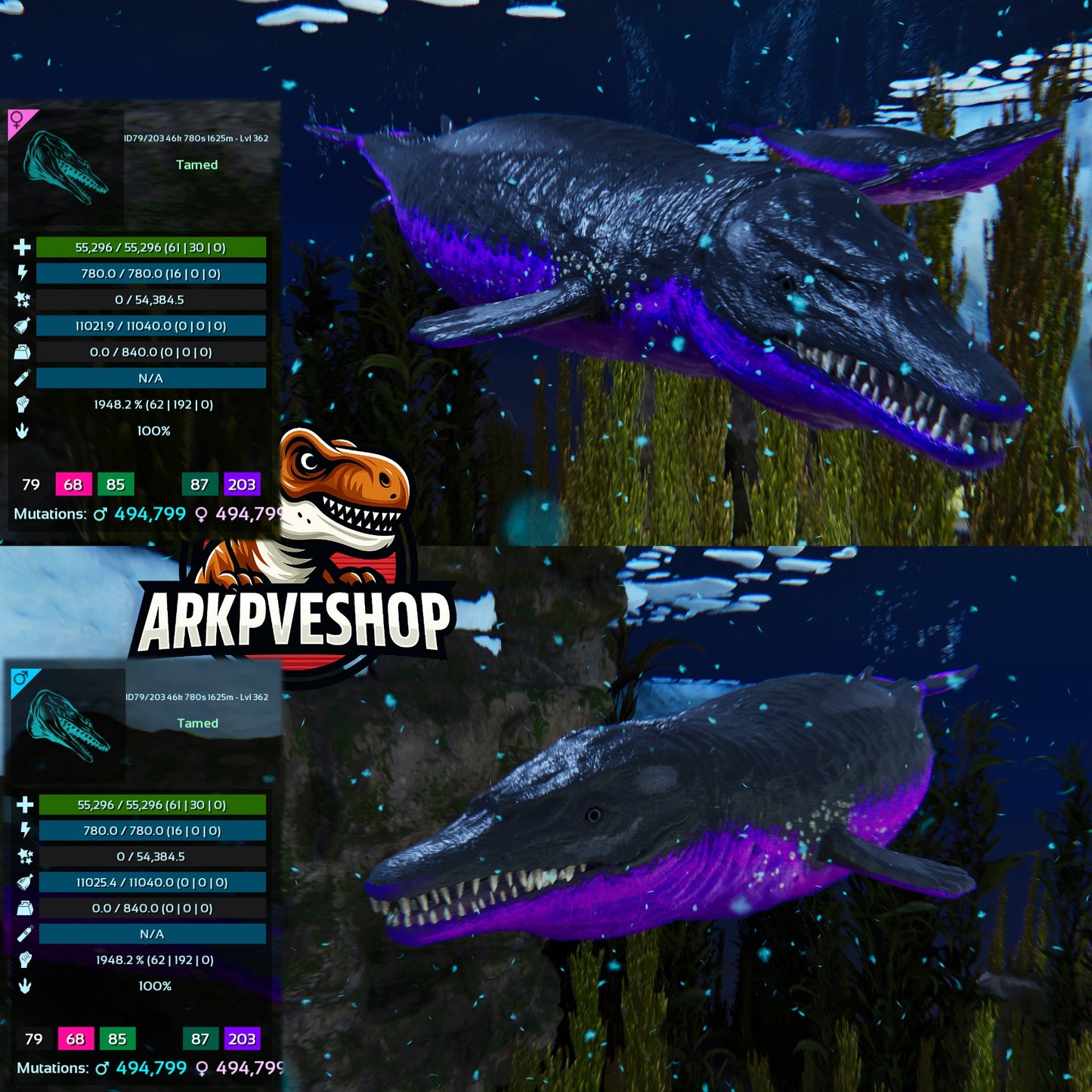 Basilosaurus 1948.2% melee