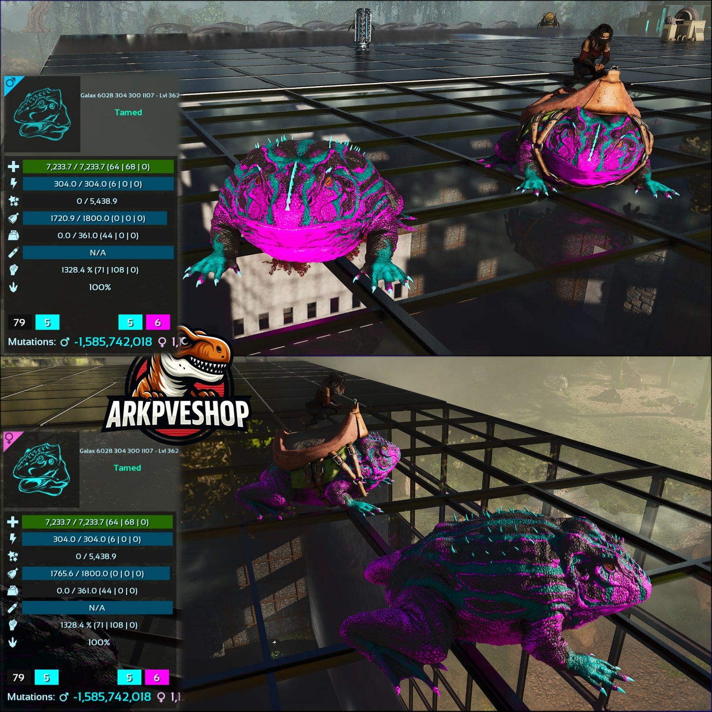 Beelzebufo 1035% Or 1328%Melee