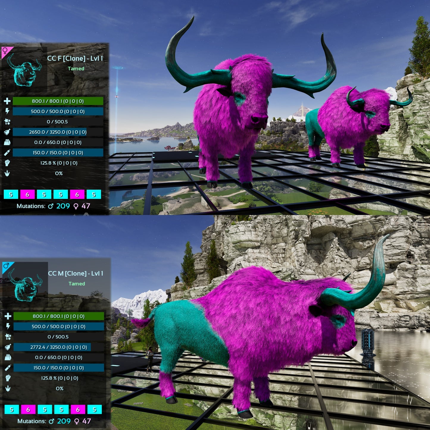 Bison Lvl 1 Best mixed Colours