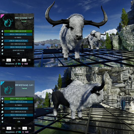 Bison Lvl 1 Best mixed Colours