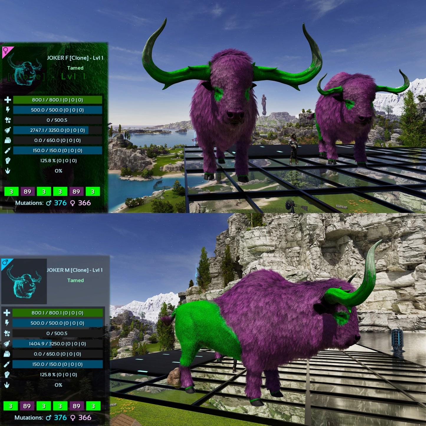 Bison Lvl 1 Best mixed Colours