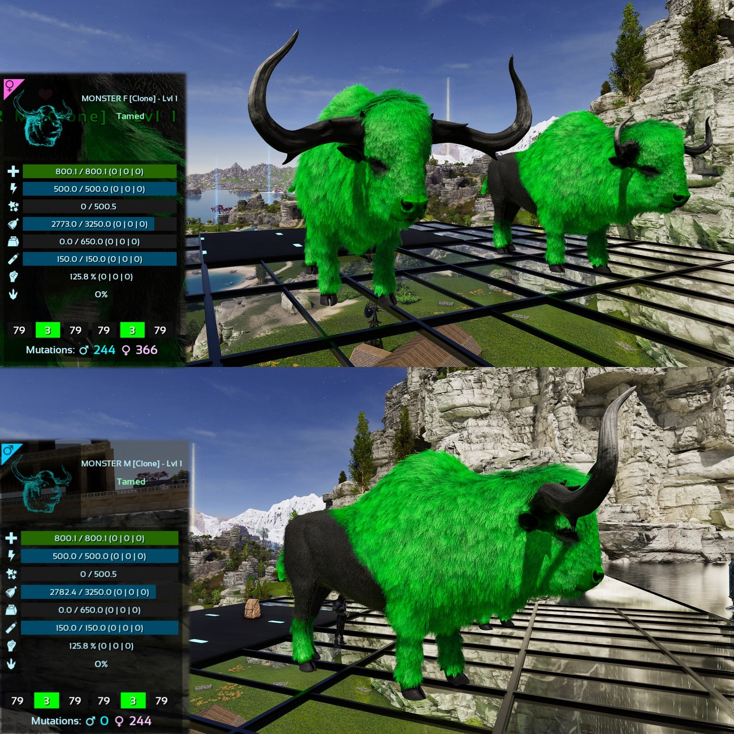 Bison Lvl 1 Best mixed Colours