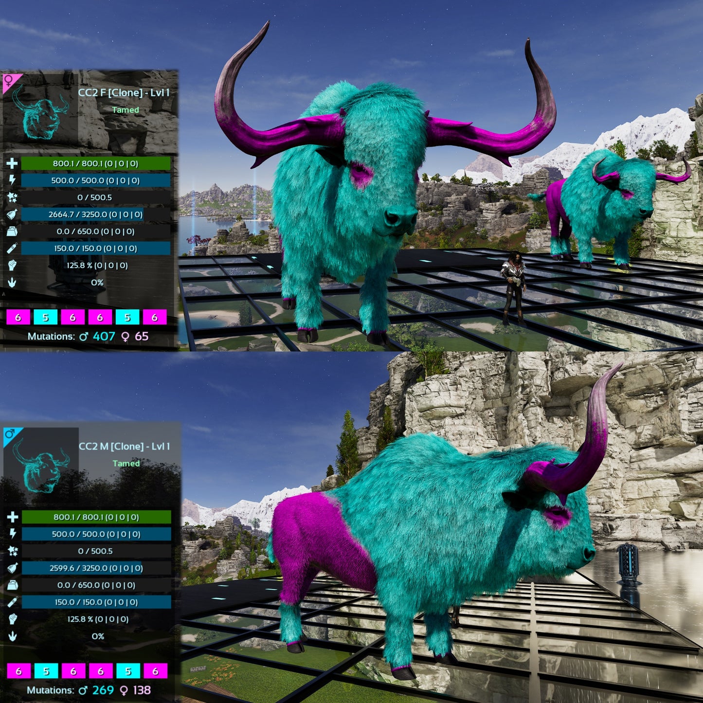 Bison Lvl 1 Best mixed Colours