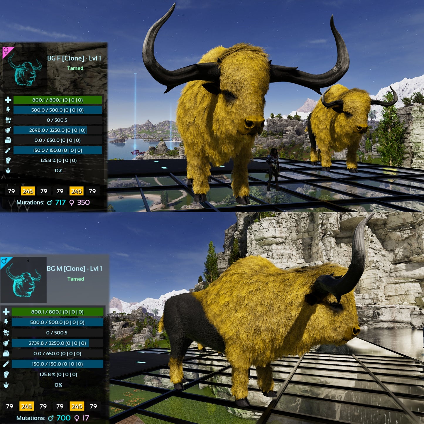 Bison Lvl 1 Best mixed Colours