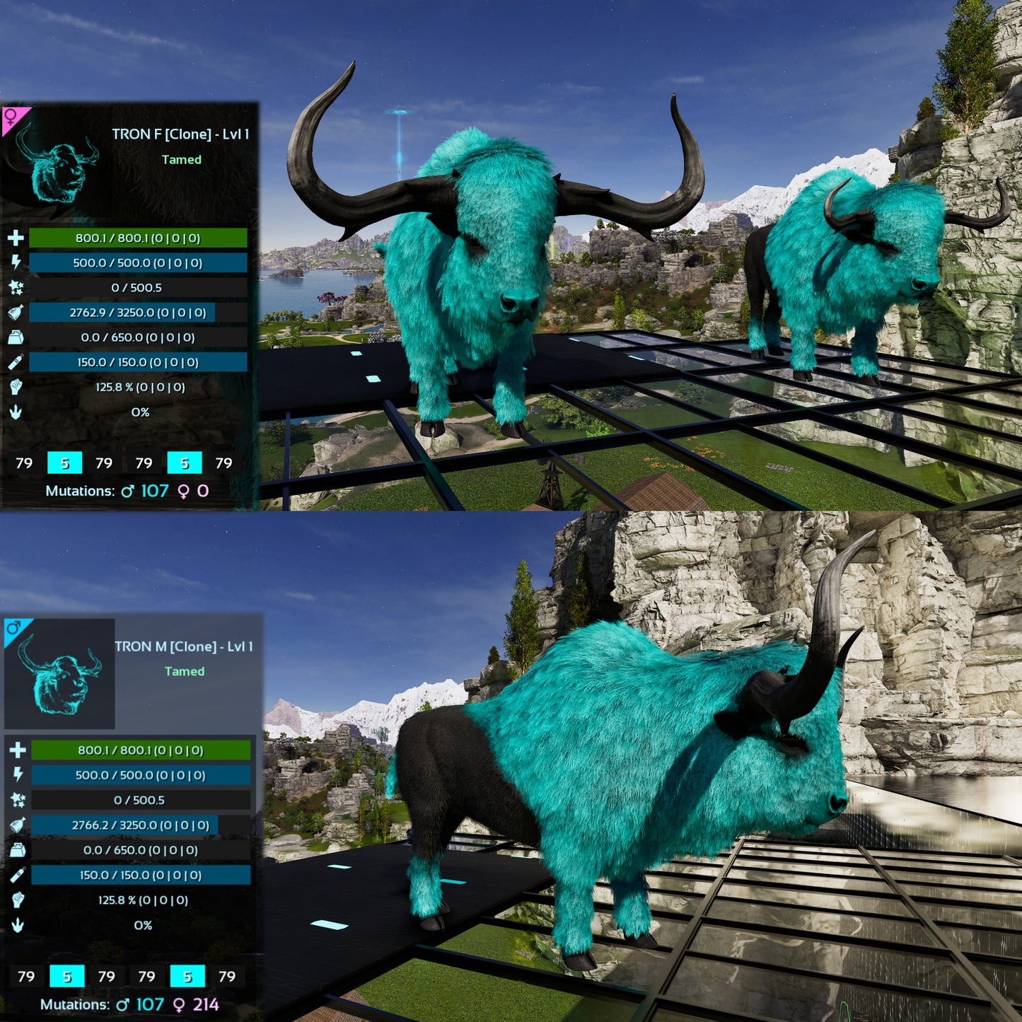 Bison Lvl 1 Best mixed Colours
