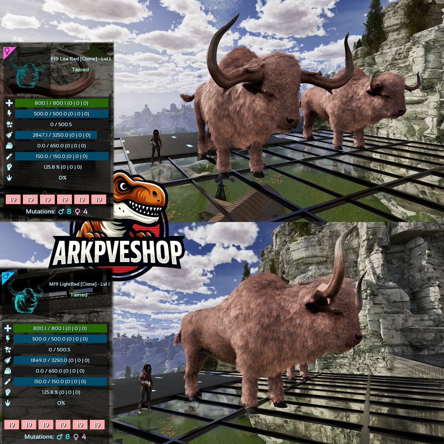 Bison Level 1 Clone lvl 1