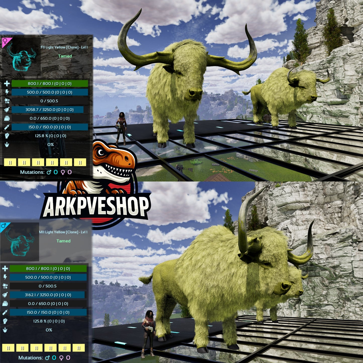 Bison Level 1 Clone lvl 1