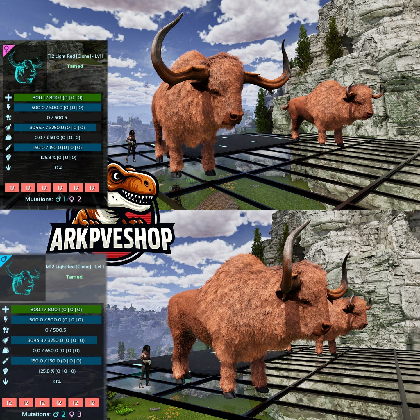 Bison Level 1 Clone lvl 1