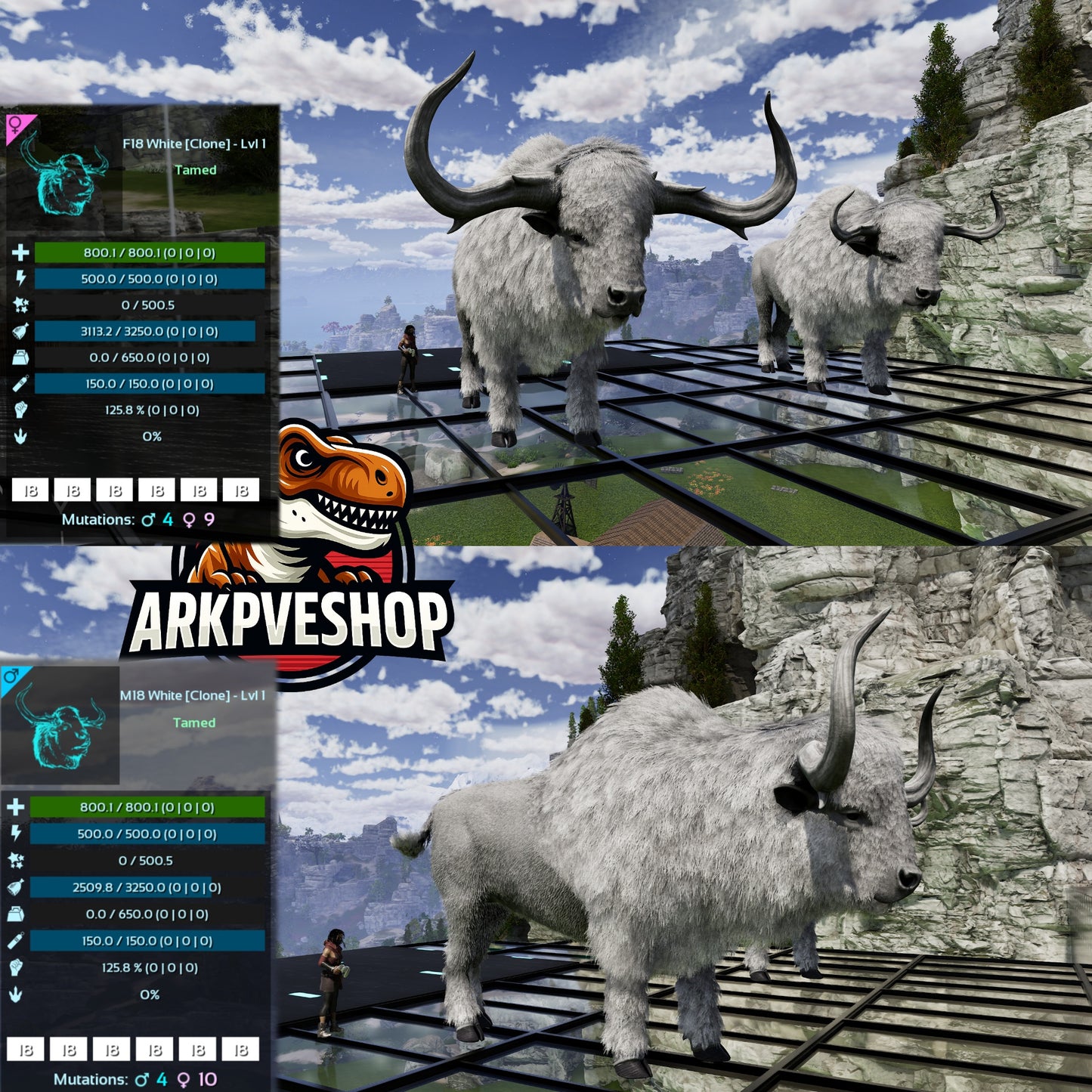 Bison Level 1 Clone lvl 1