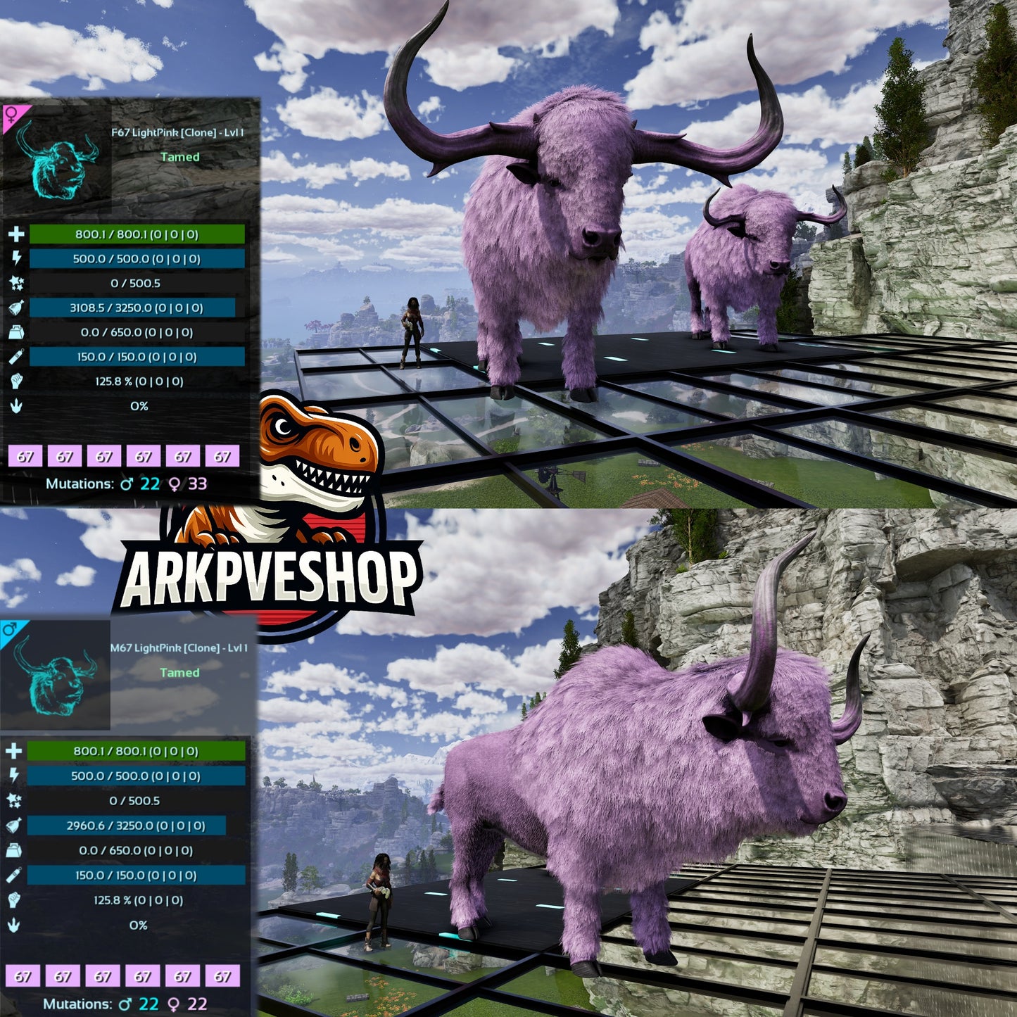 Bison Level 1 Clone lvl 1