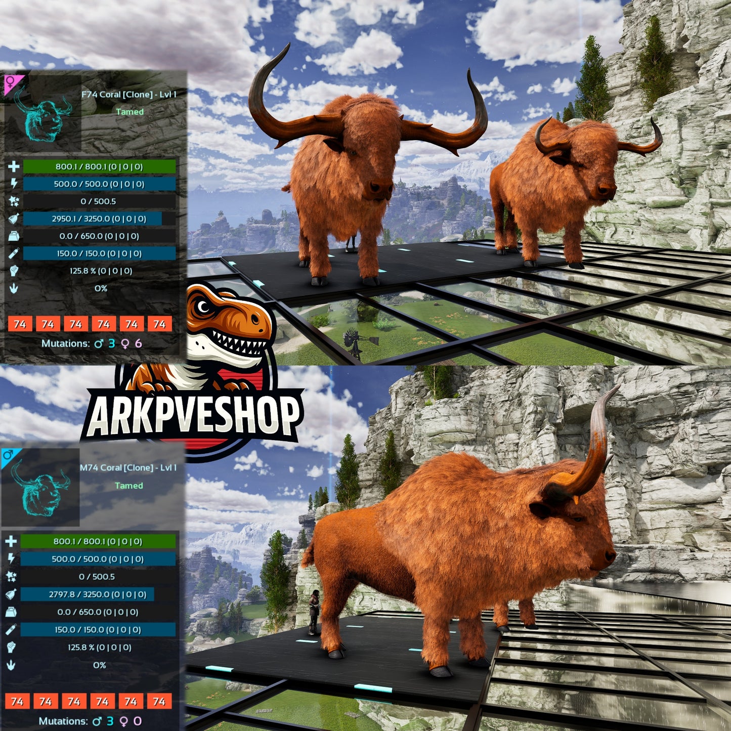 Bison Level 1 Clone lvl 1