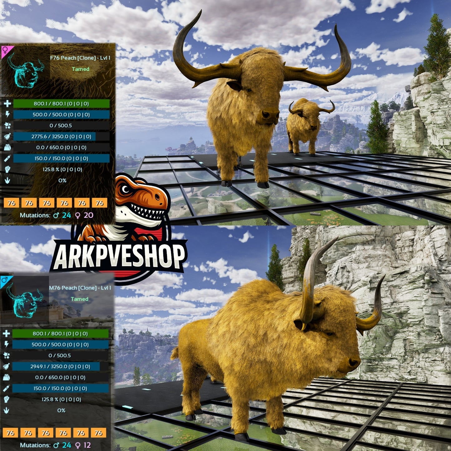 Bison Level 1 Clone lvl 1