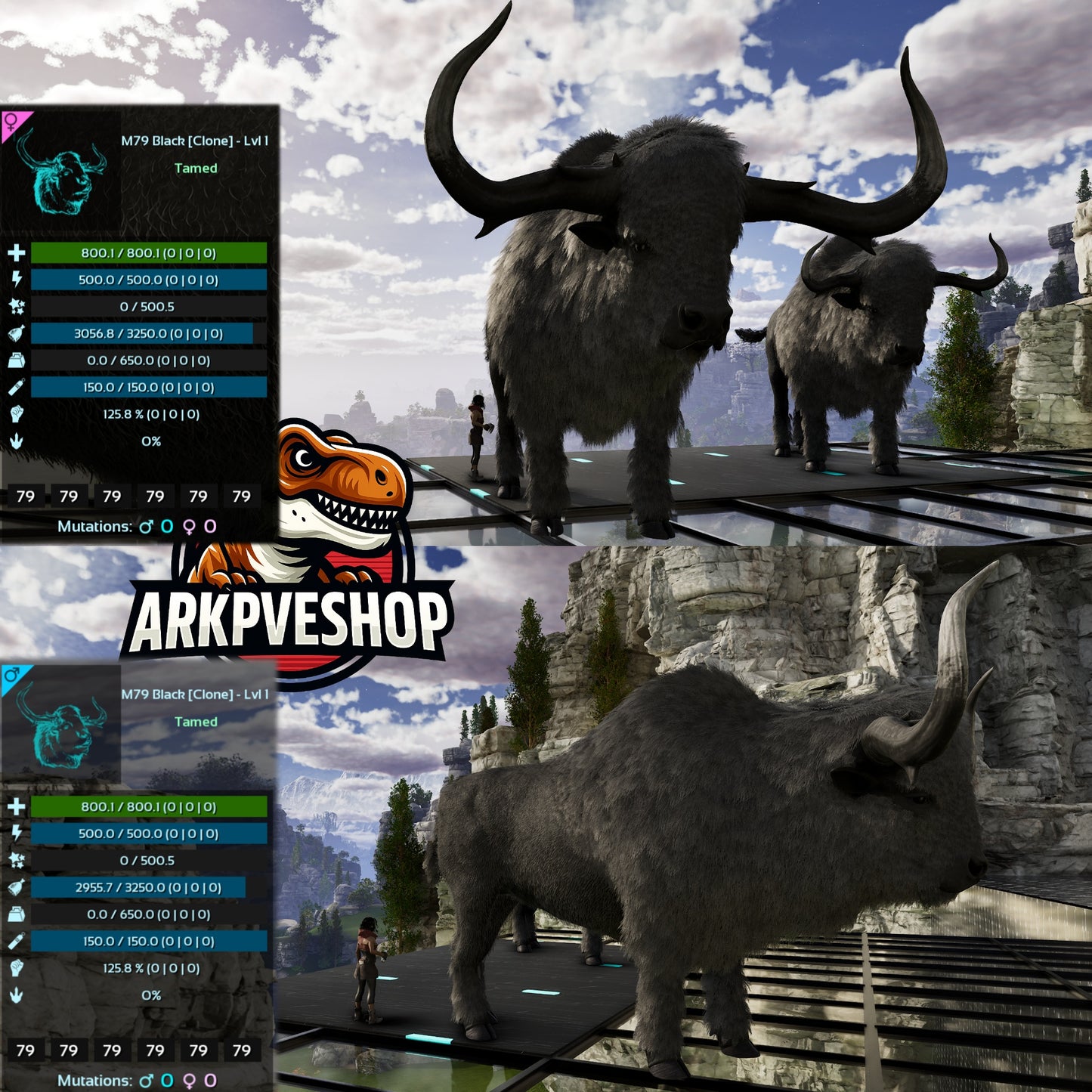 Bison Level 1 Clone lvl 1