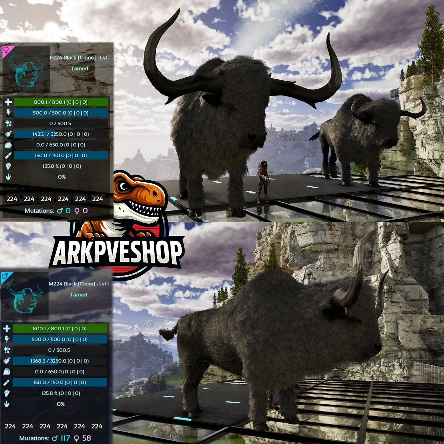 Bison Level 1 Clone lvl 1