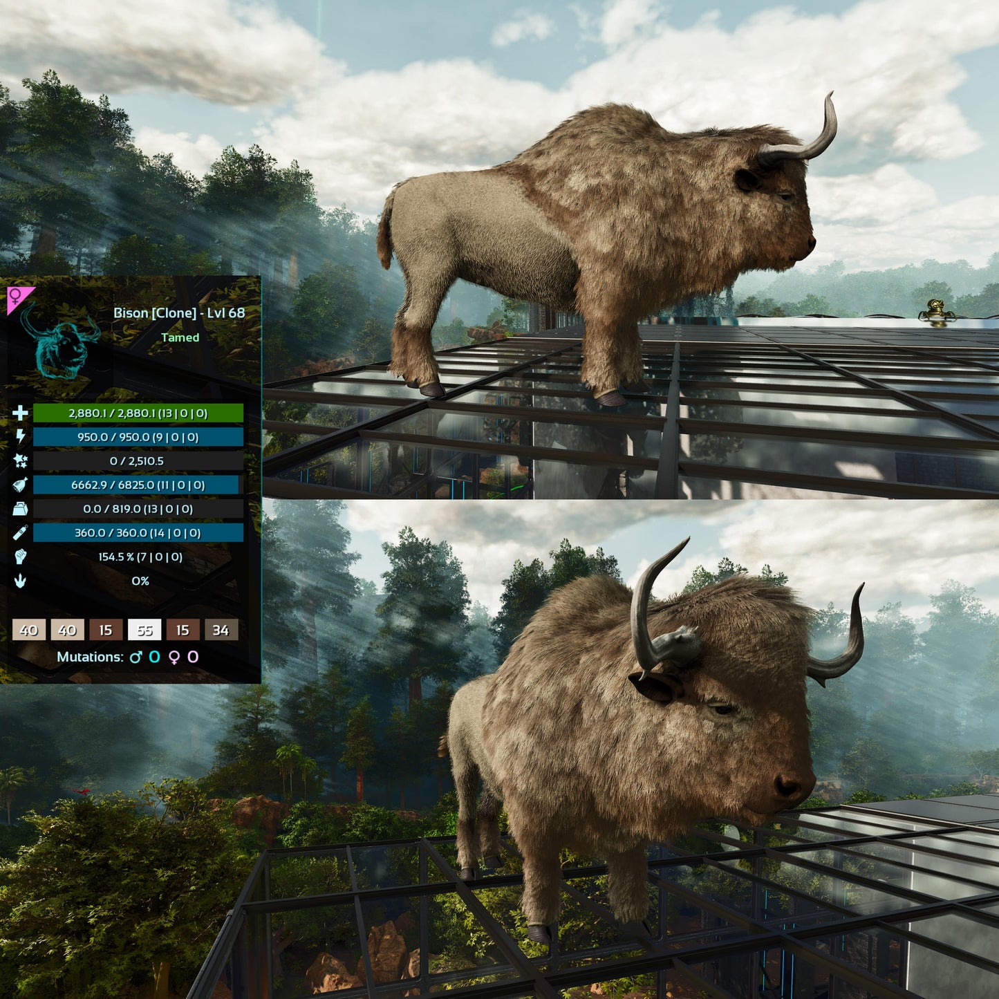 Bison Low&High Lvl Clone