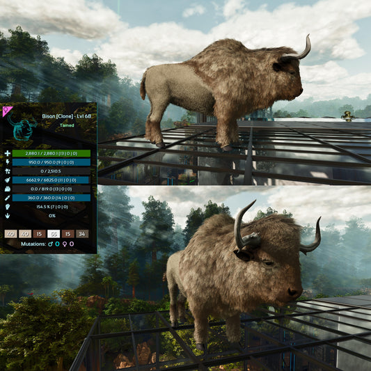 Bison Low&High Lvl Clone