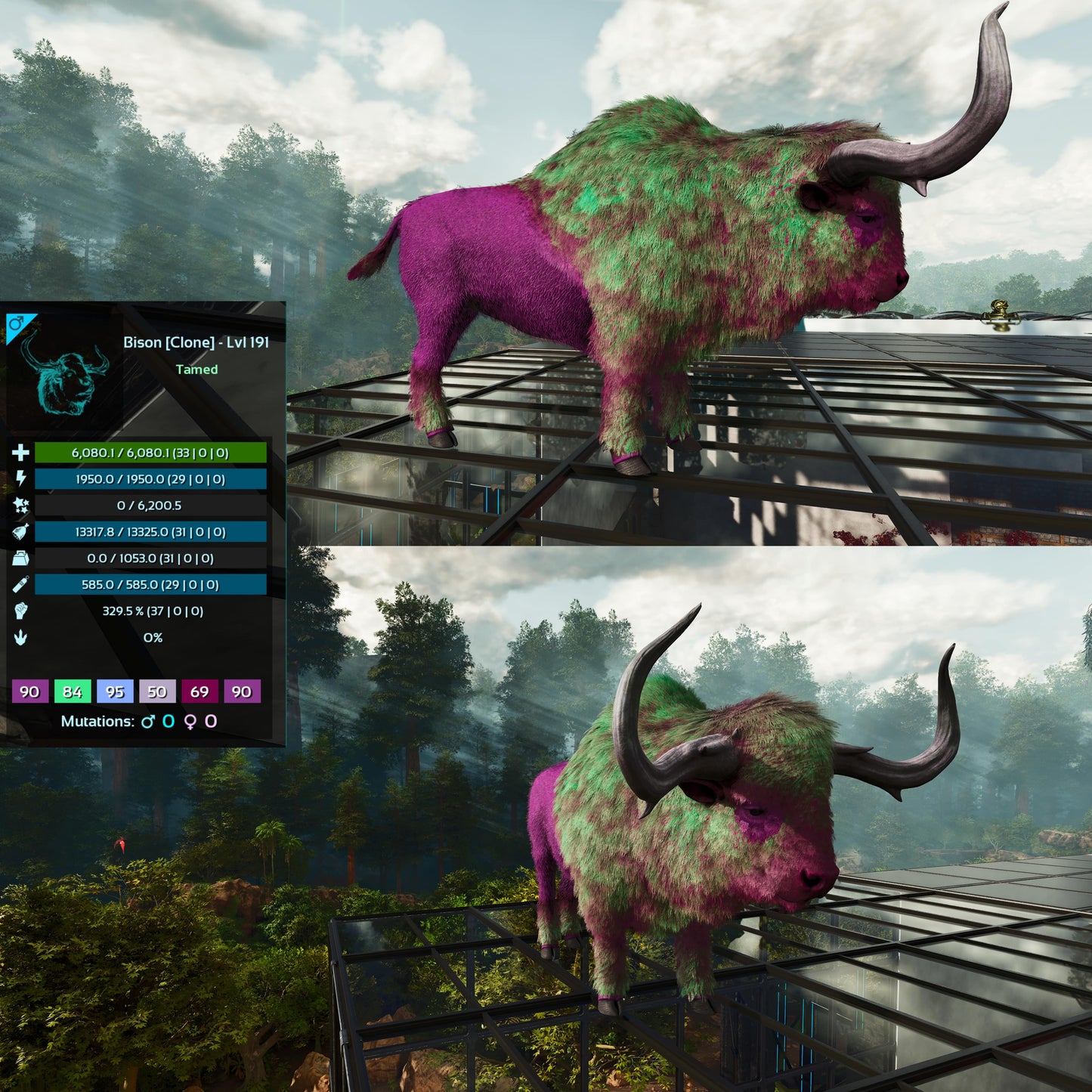 Bison Low&High Lvl Clone