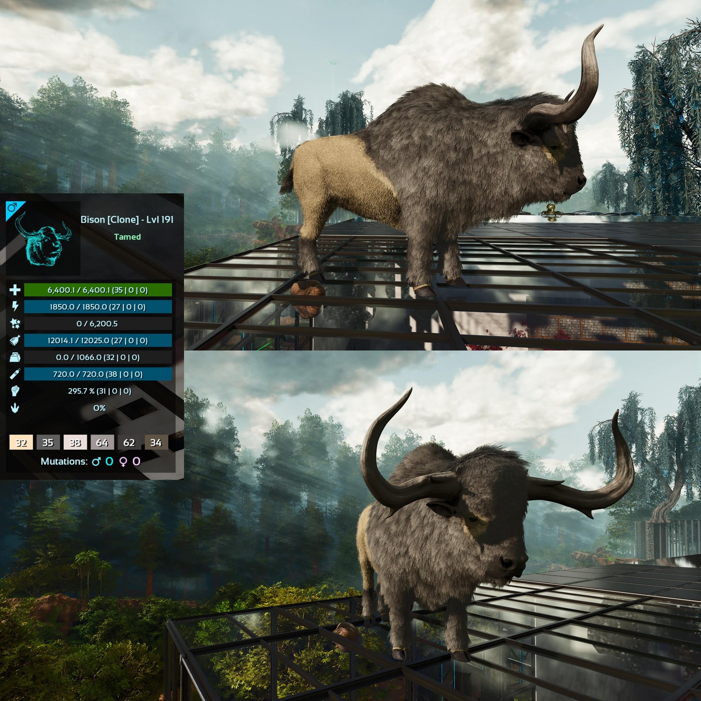 Bison Low&High Lvl Clone
