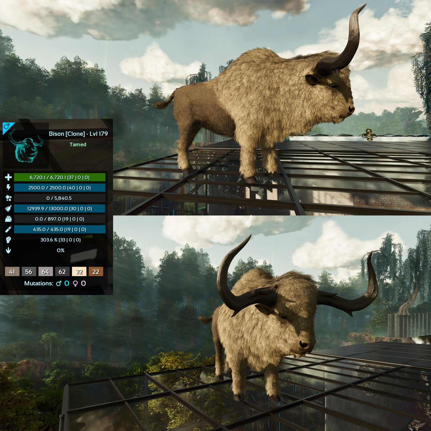 Bison Low&High Lvl Clone