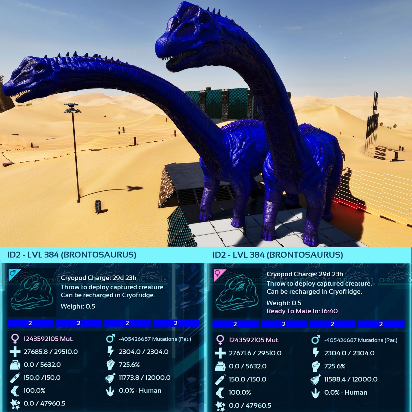 Brontosaurus / Bronto -Level 362