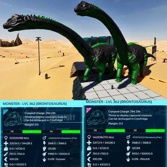 Brontosaurus / Bronto -Level 362