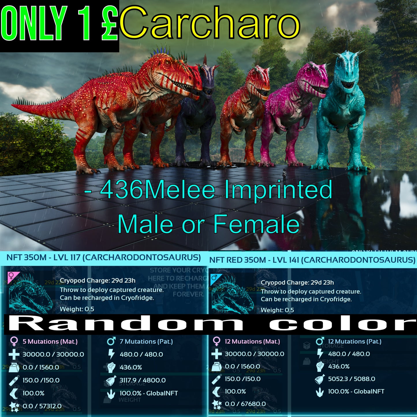 Carcharodontosaurus / Carcharo 436dmg imprint 🏷️