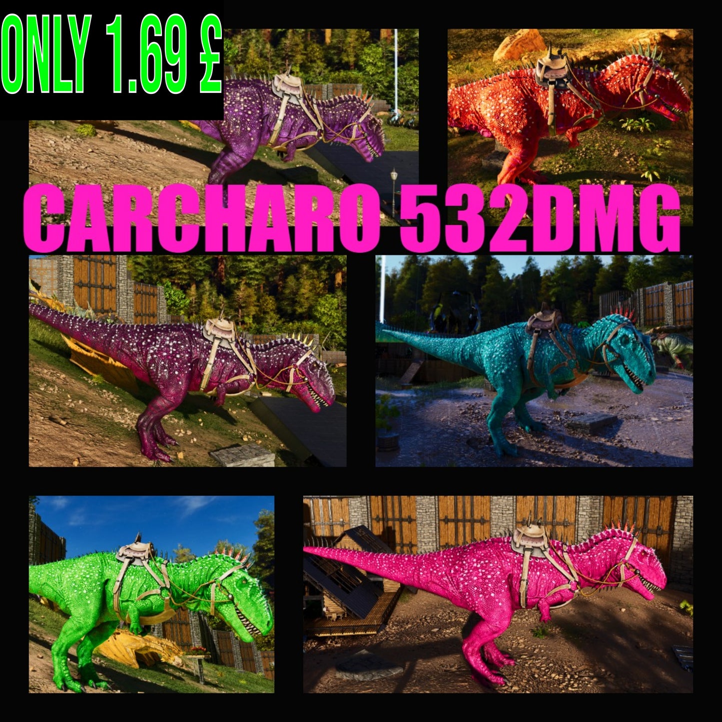 Carcharodontosaurus / Carcharo 532M imprint 🏷️