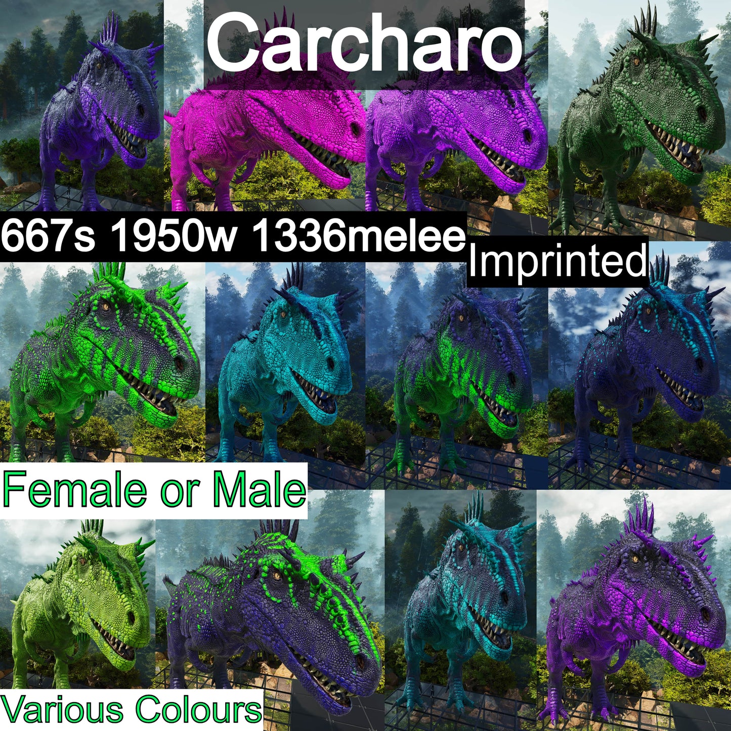 🏷️Carcharodontosaurus / Carcharo / Carcha 1336%Dmg Imprinted🏷️