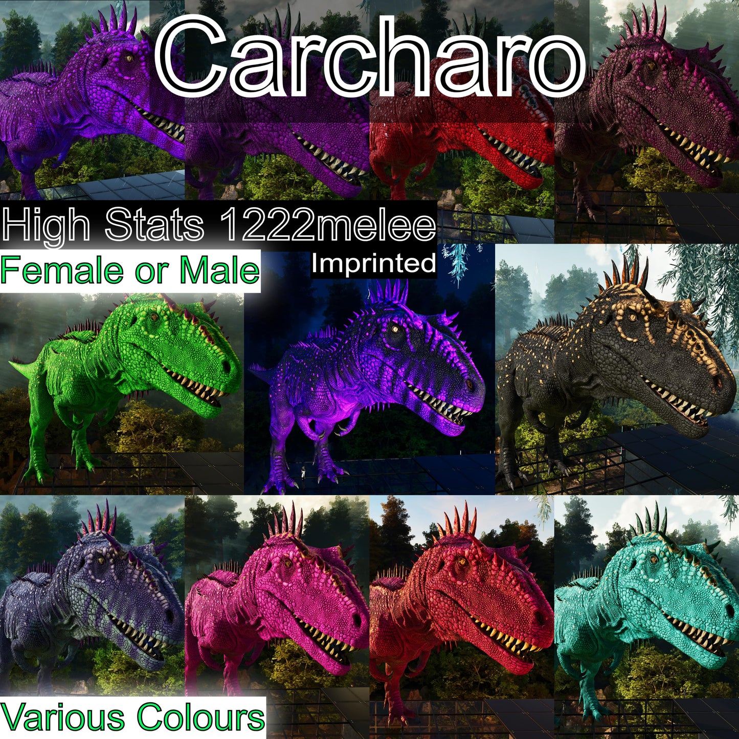 Carcharodontosaurus / Carcharo / Carcha 1222Dmg Imprinted