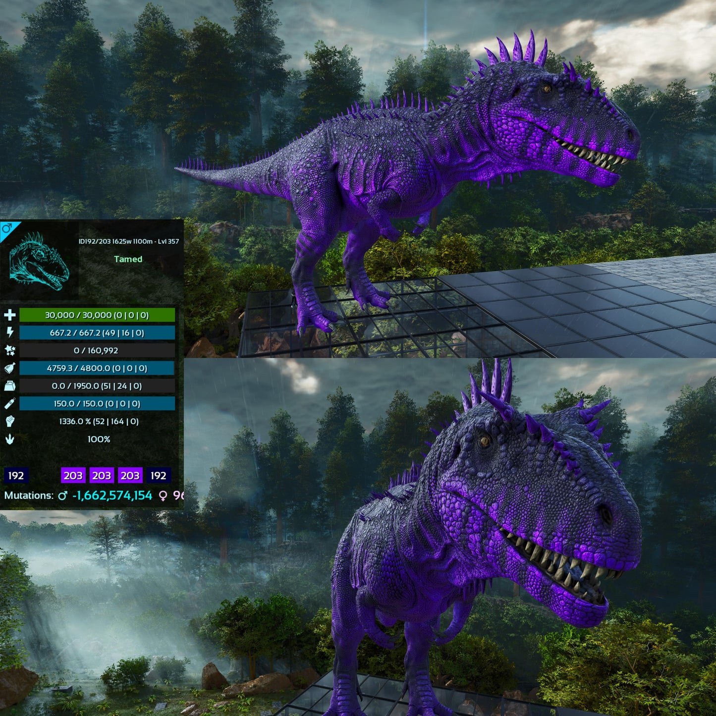 🏷️Carcharodontosaurus / Carcharo / Carcha 1336%Dmg Imprinted🏷️