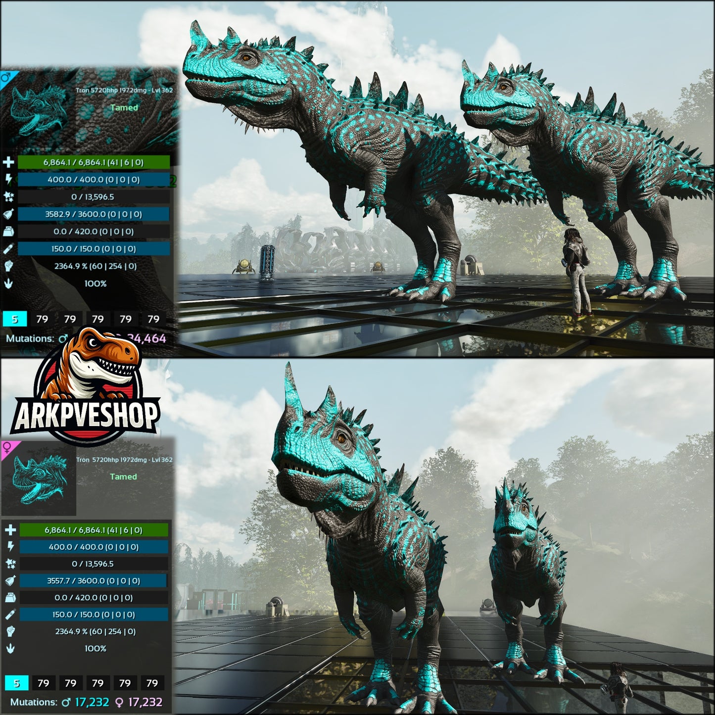 Ceratosaurus 2364% Melee Imprinted
