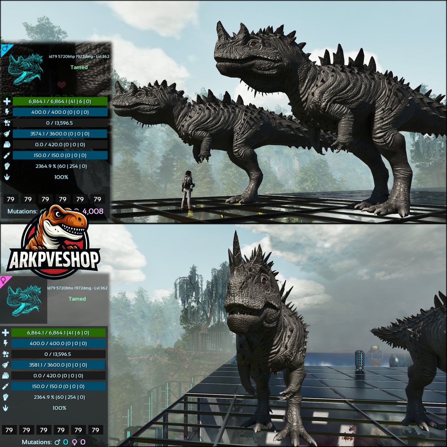 Ceratosaurus 2364% Melee Imprinted