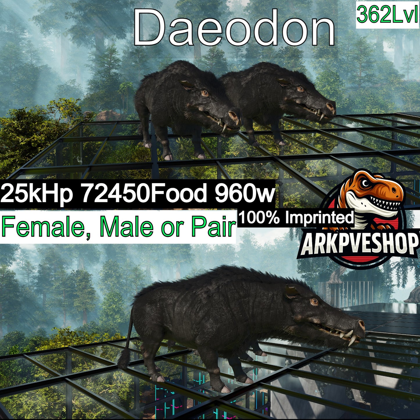 Daeodon 72450Food Imprinted