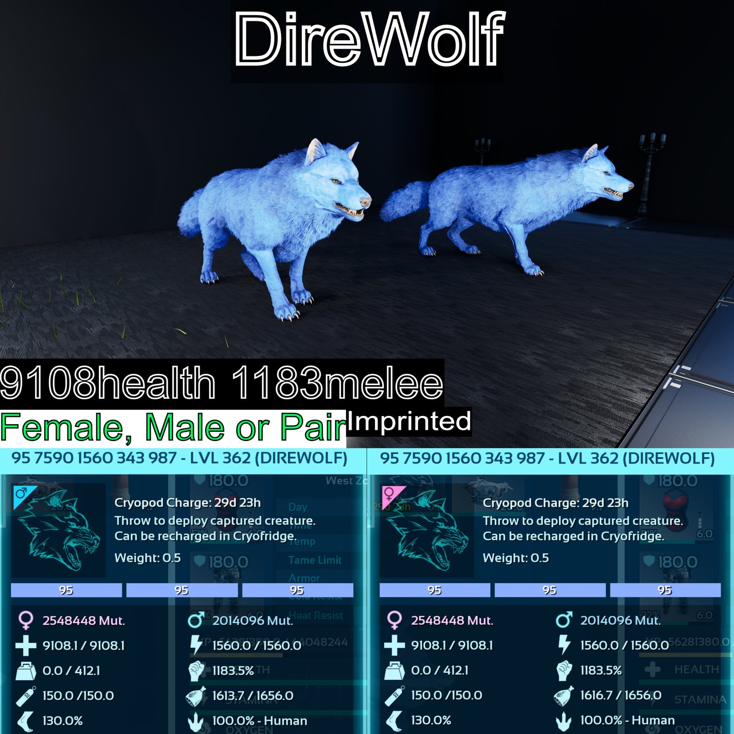 Direwolf Max Level 362