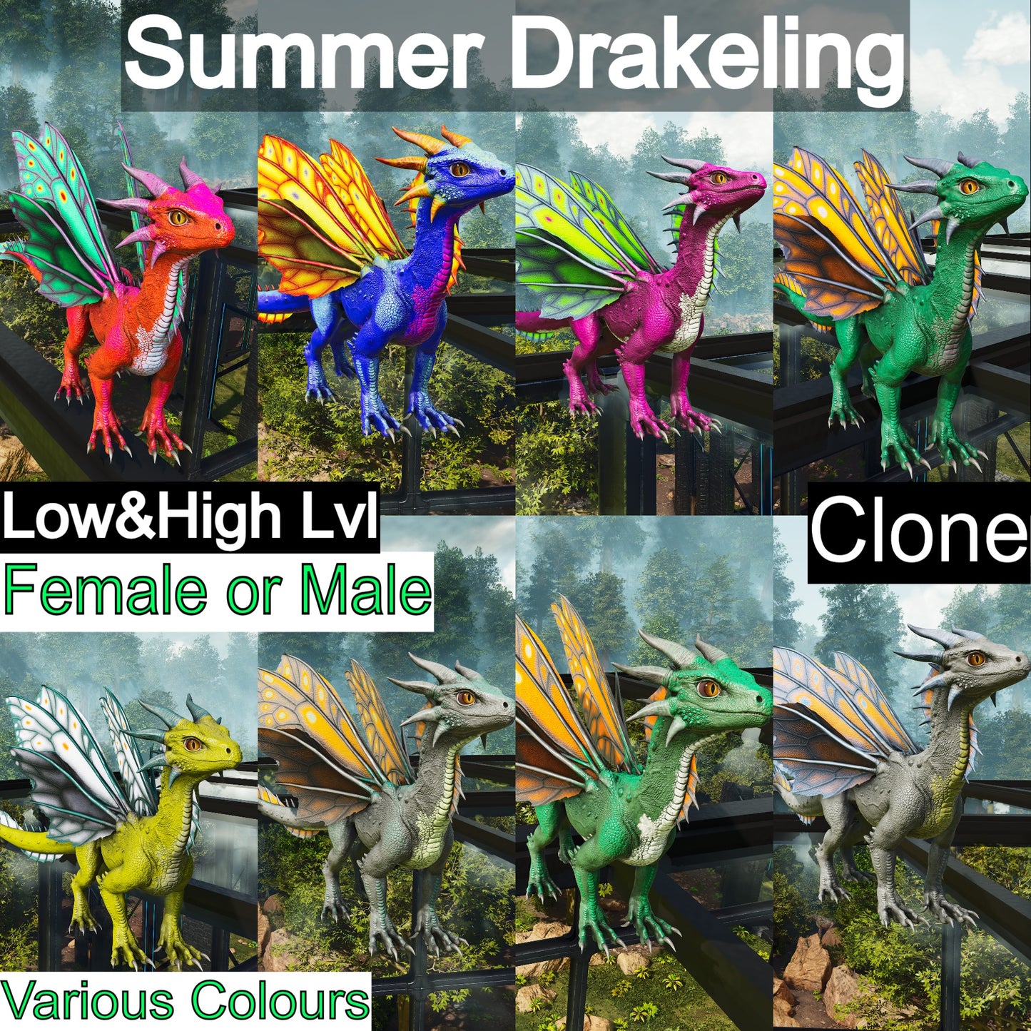 Drakeling High&Low Lvls