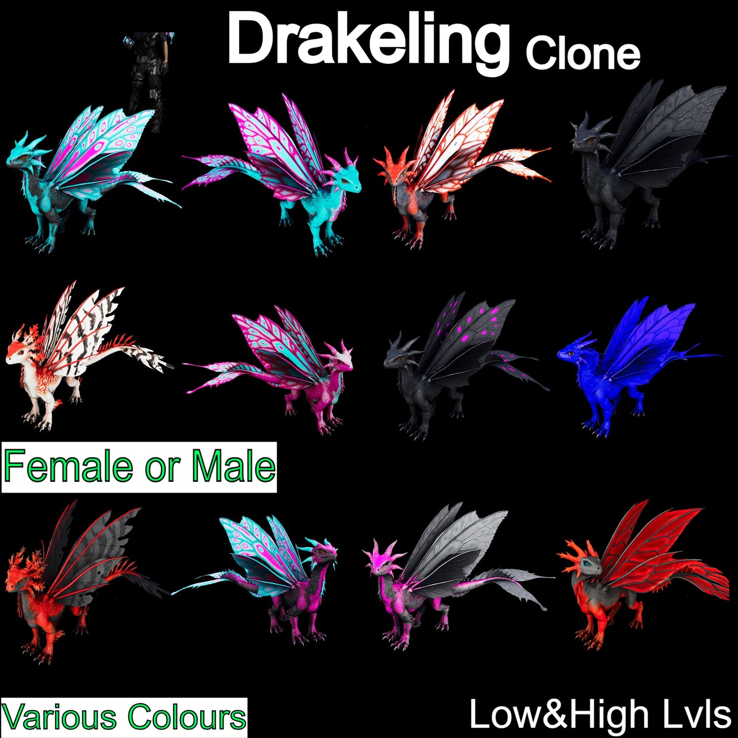 Drakeling High&Low Lvls