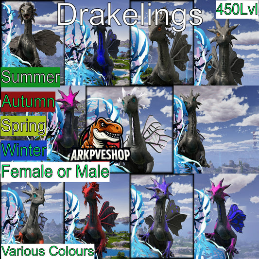 Drakeling Lvl 450 MAX LVL — cannot be leveled up