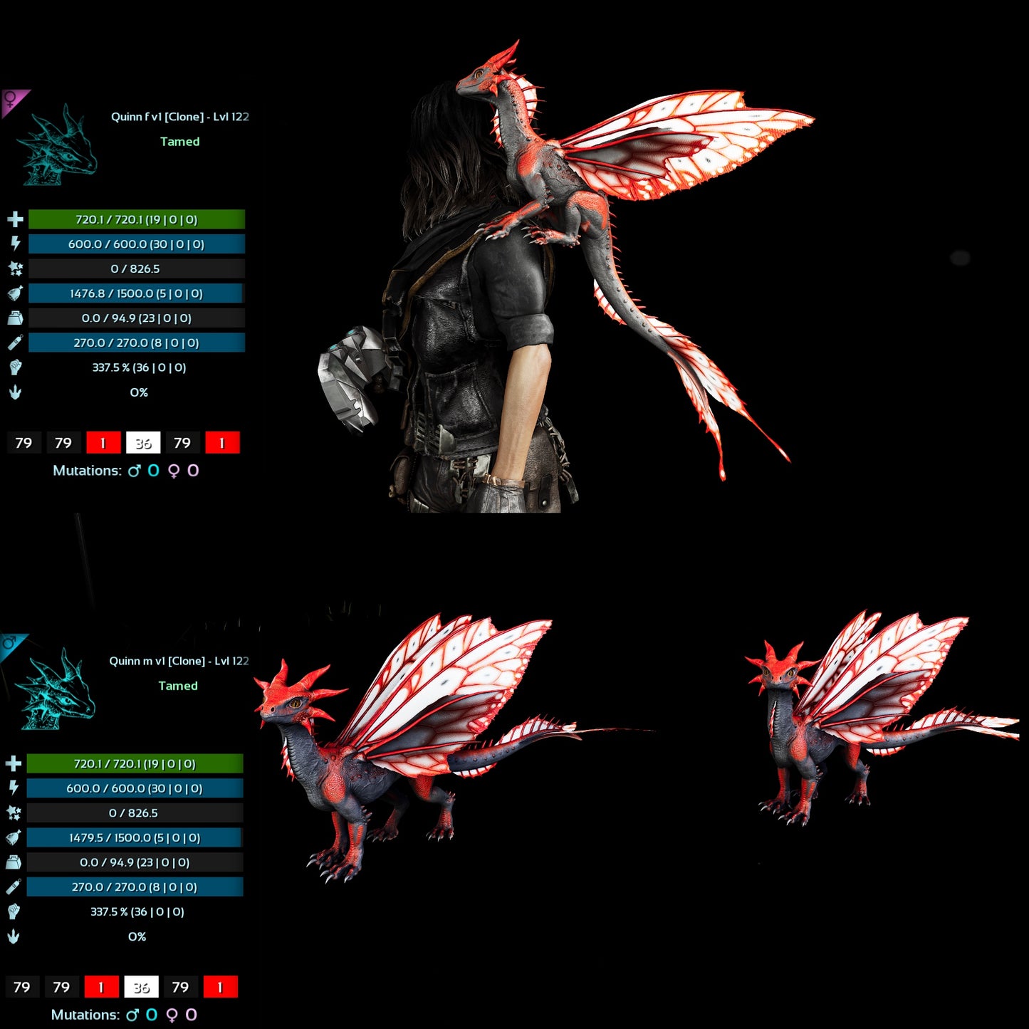 Drakeling High&Low Lvls