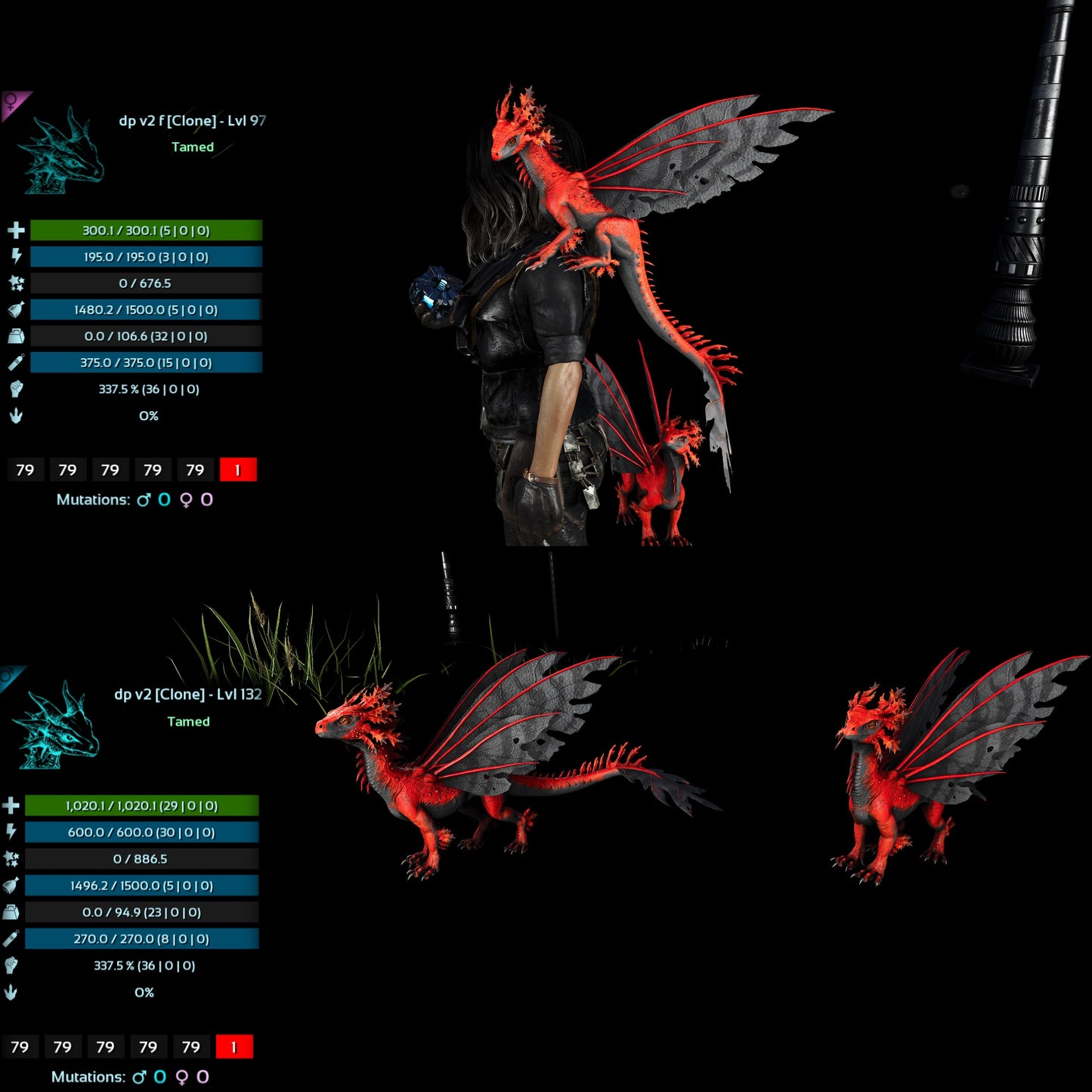 Drakeling High&Low Lvls