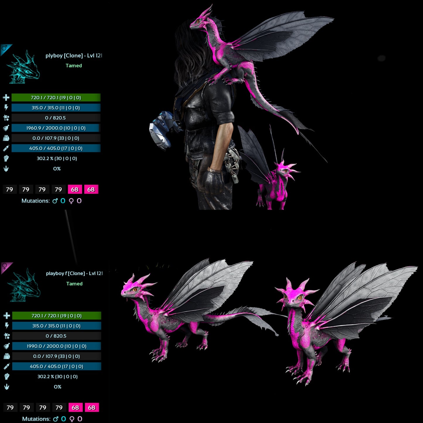Drakeling High&Low Lvls