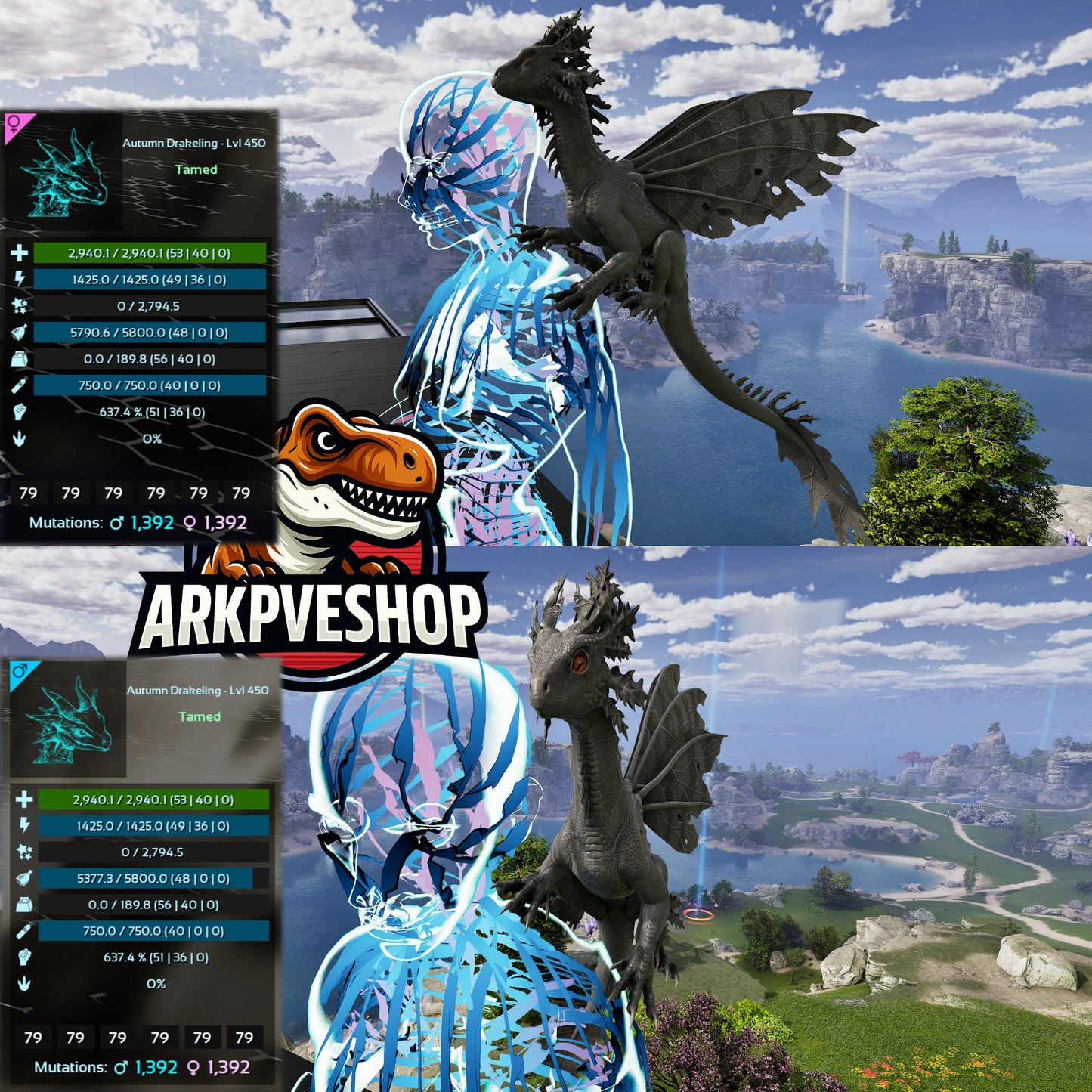 Drakeling Lvl 450 MAX LVL — cannot be leveled up