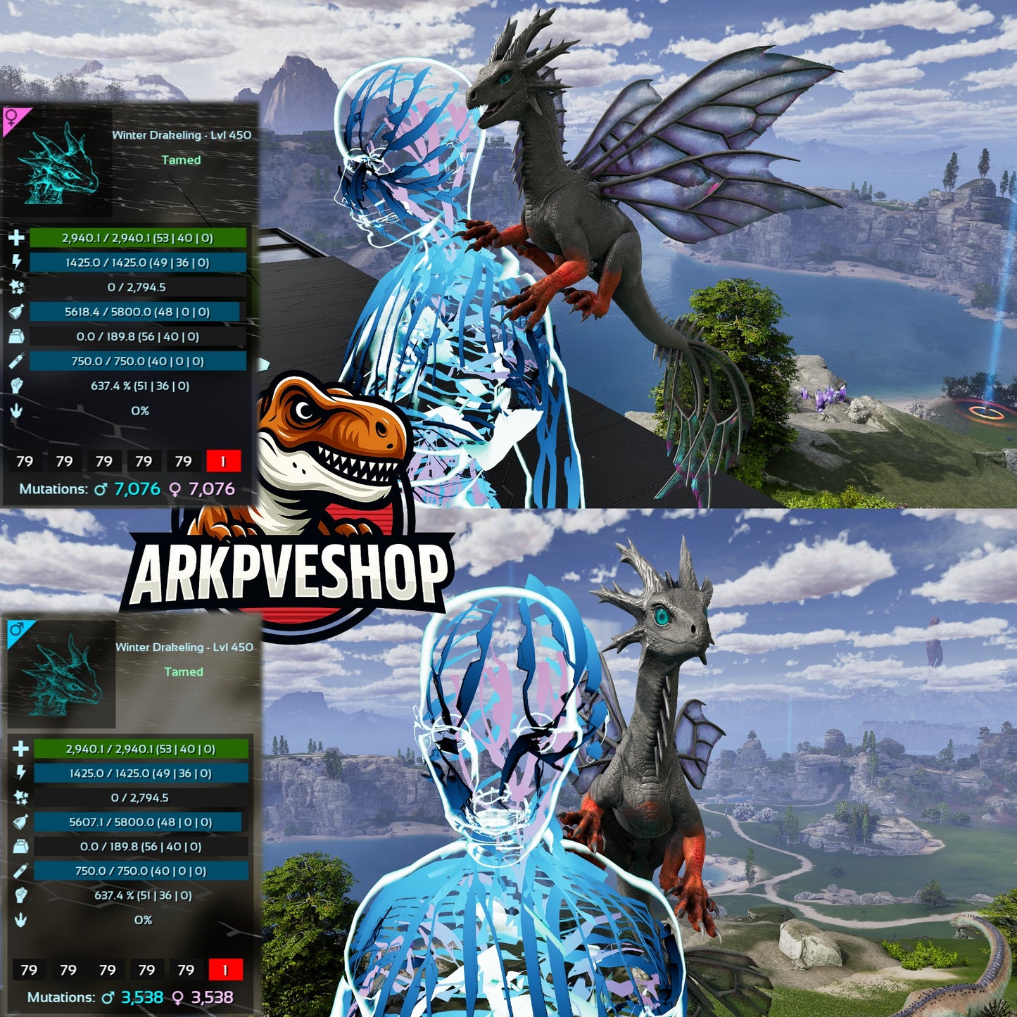 Drakeling Lvl 450 MAX LVL — cannot be leveled up