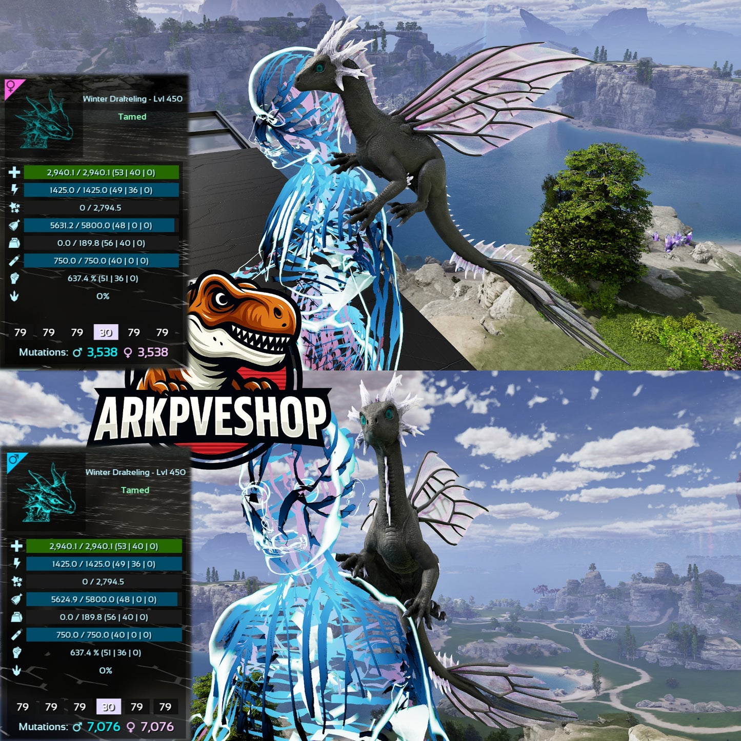 Drakeling Lvl 450 MAX LVL — cannot be leveled up