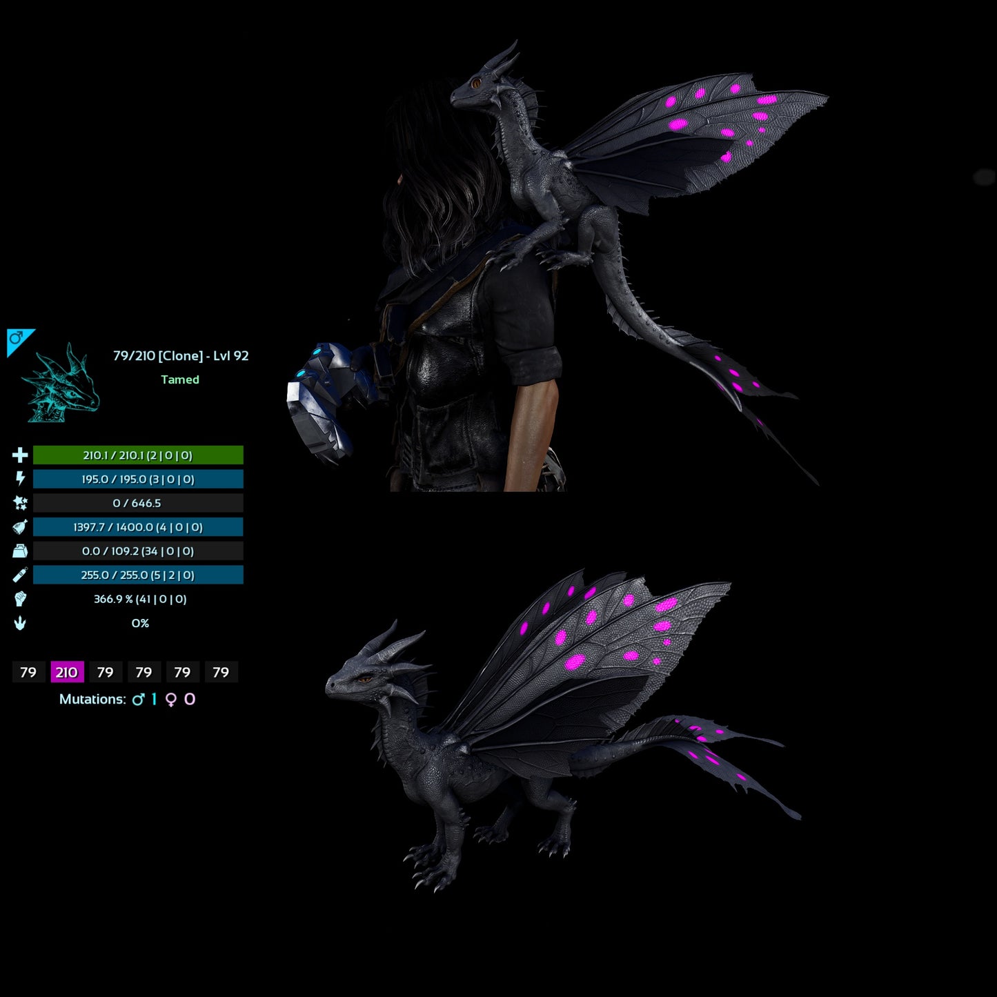 Drakeling High&Low Lvls