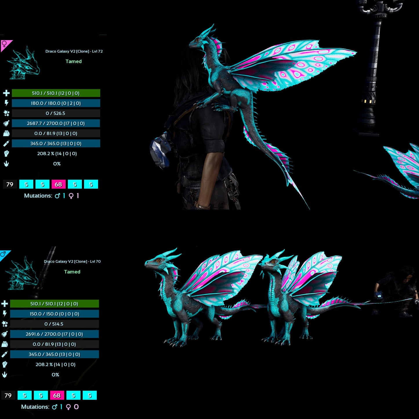 Drakeling High&Low Lvls