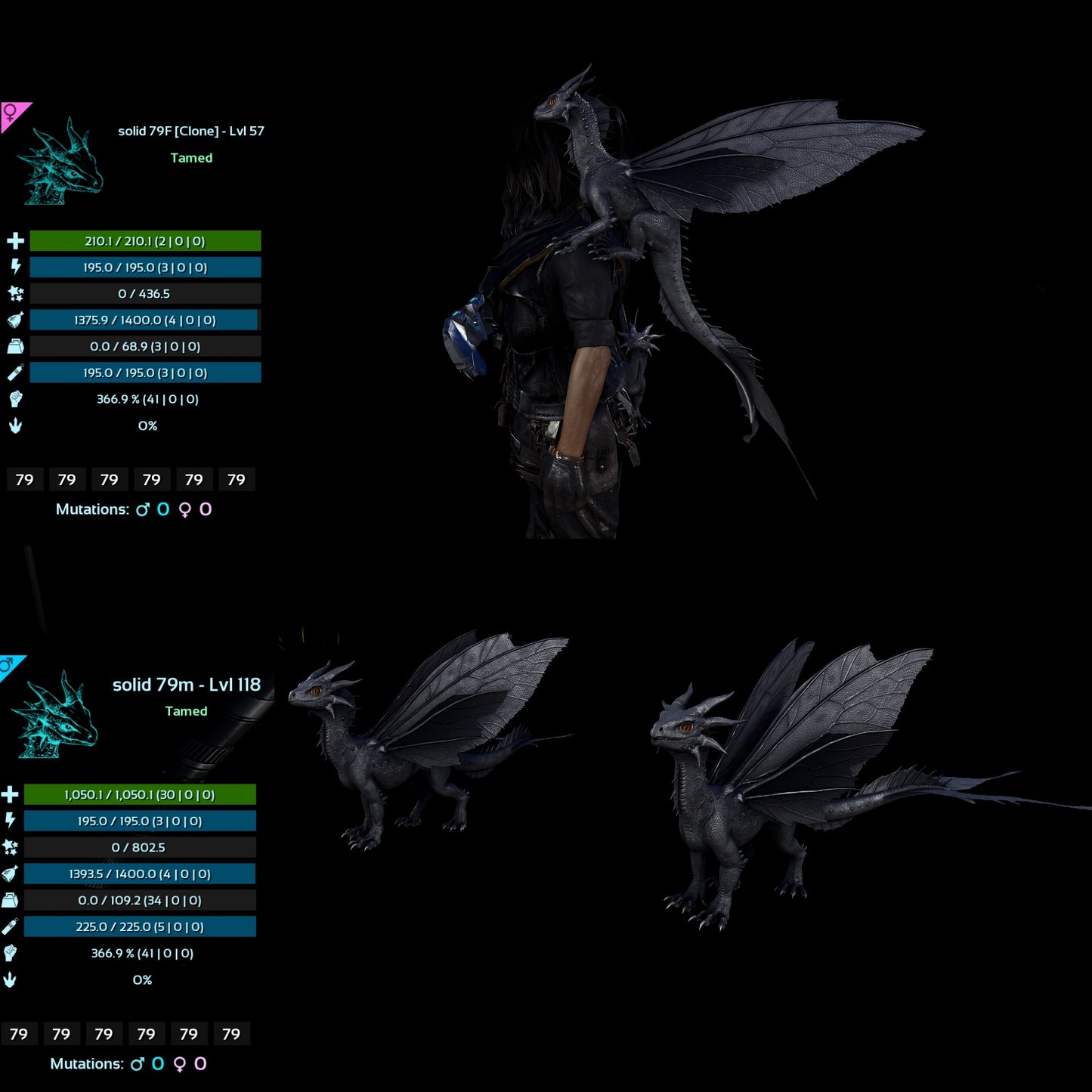 Drakeling High&Low Lvls