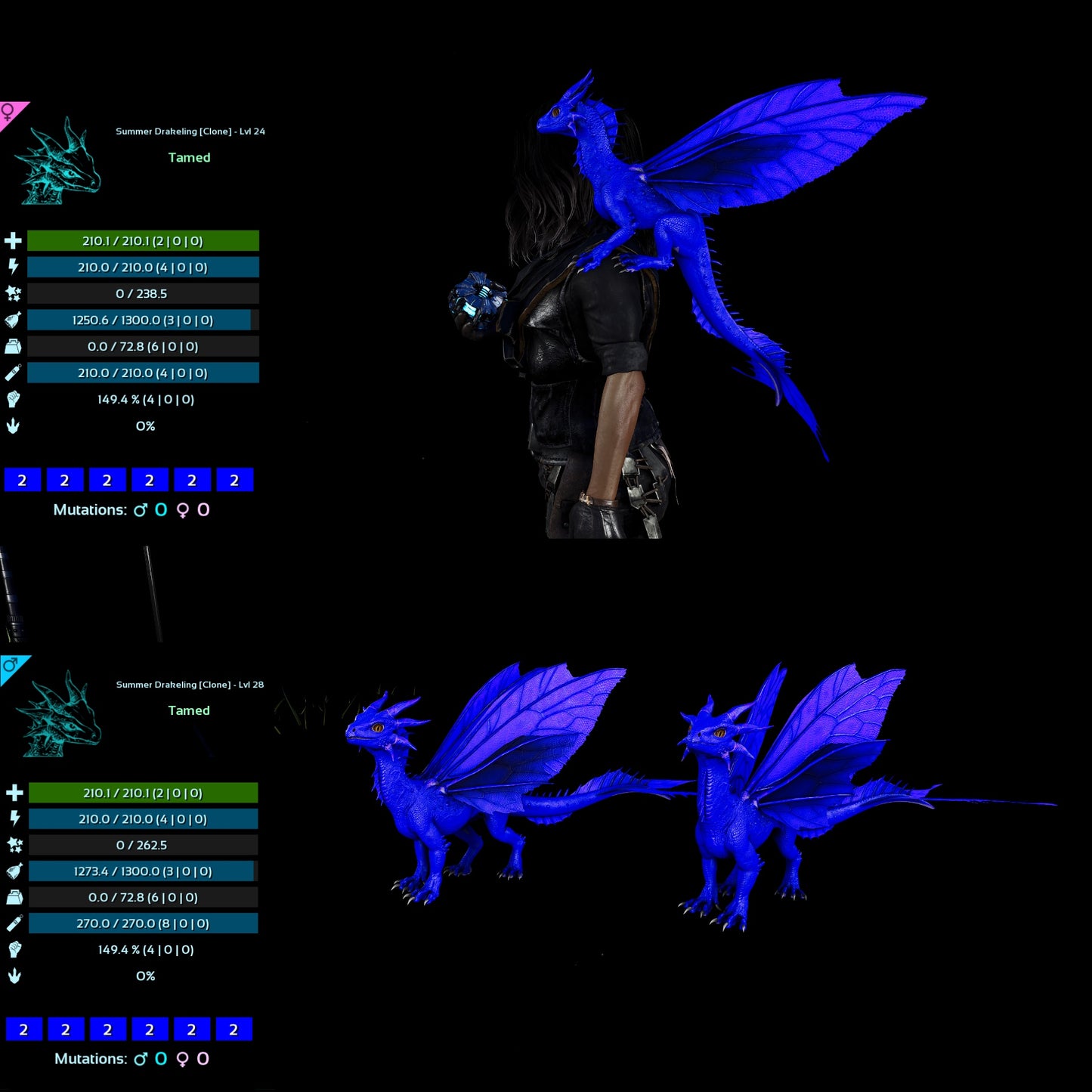 Drakeling High&Low Lvls