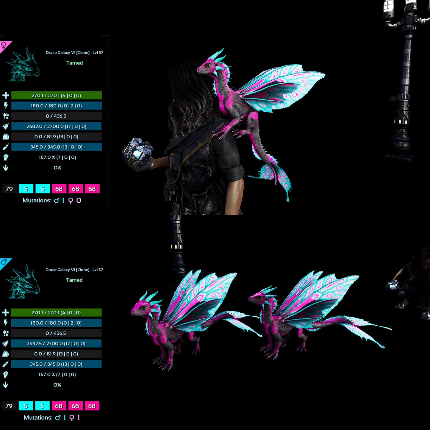 Drakeling High&Low Lvls